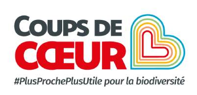 Logo Coups de Cœur - Revenir à la page d'accueil