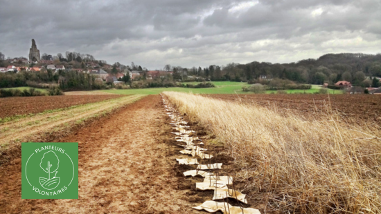 Les Planteurs Volontaires